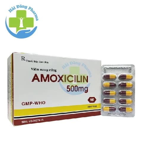 SM.Amoxicillin 500 - Hộp 10 vỉ x 10 viên